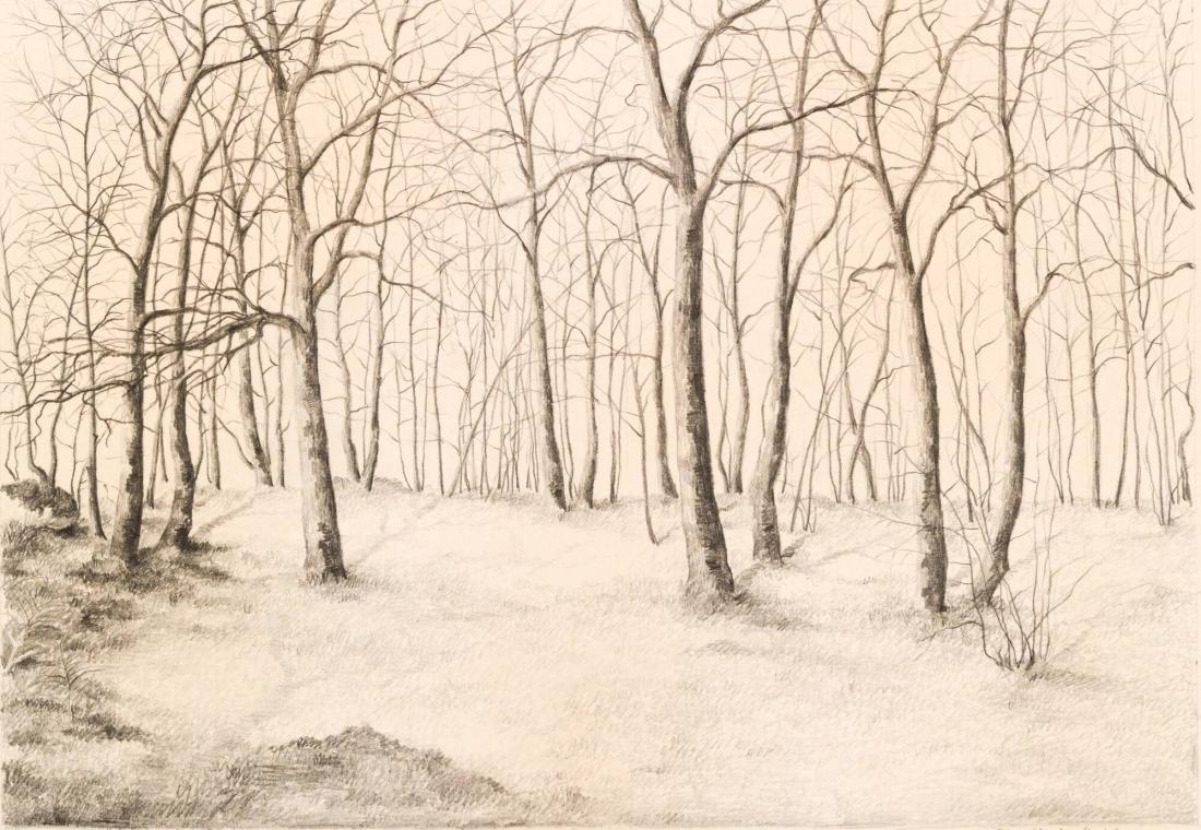 Lövskog