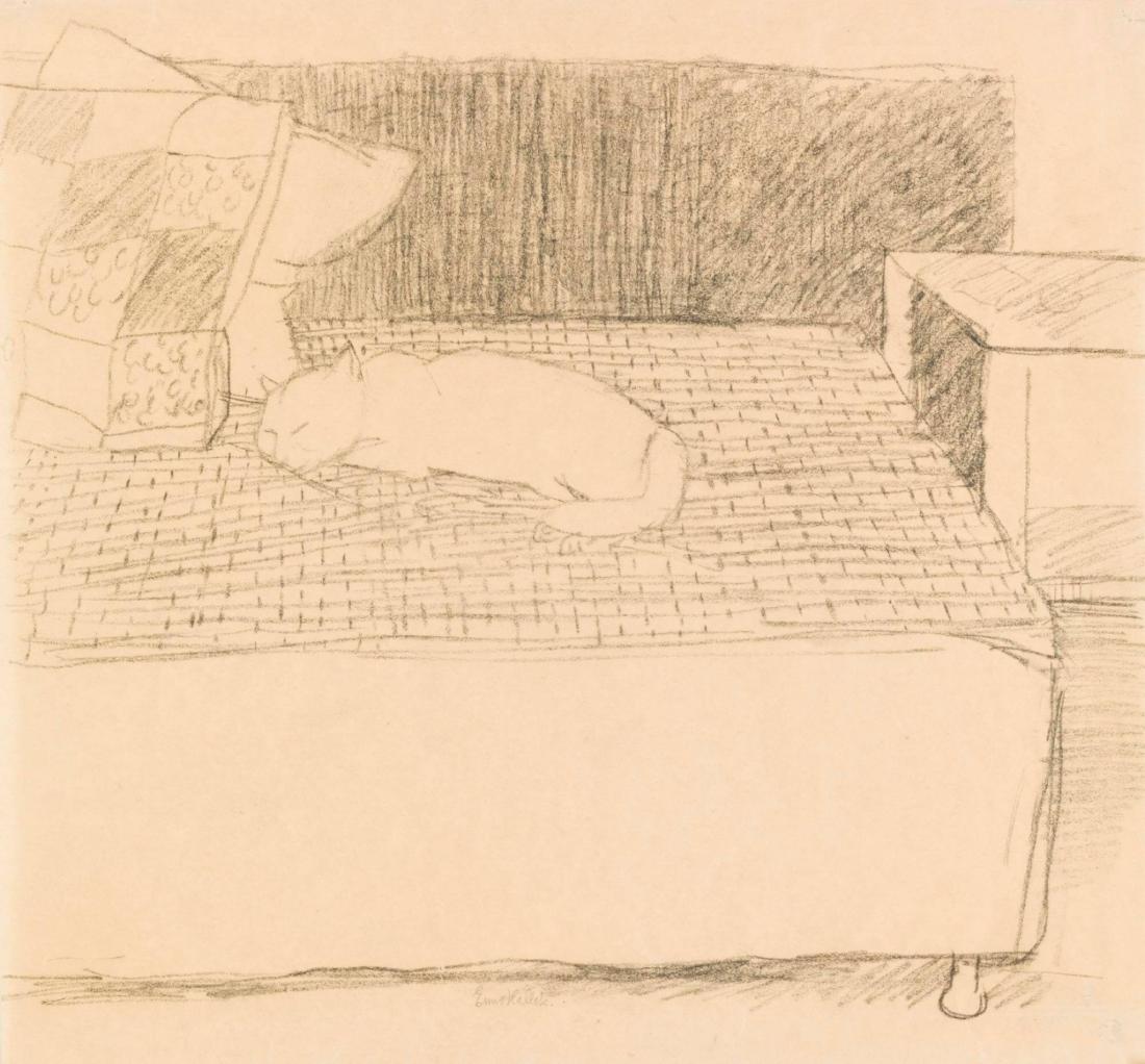Petterssons katt