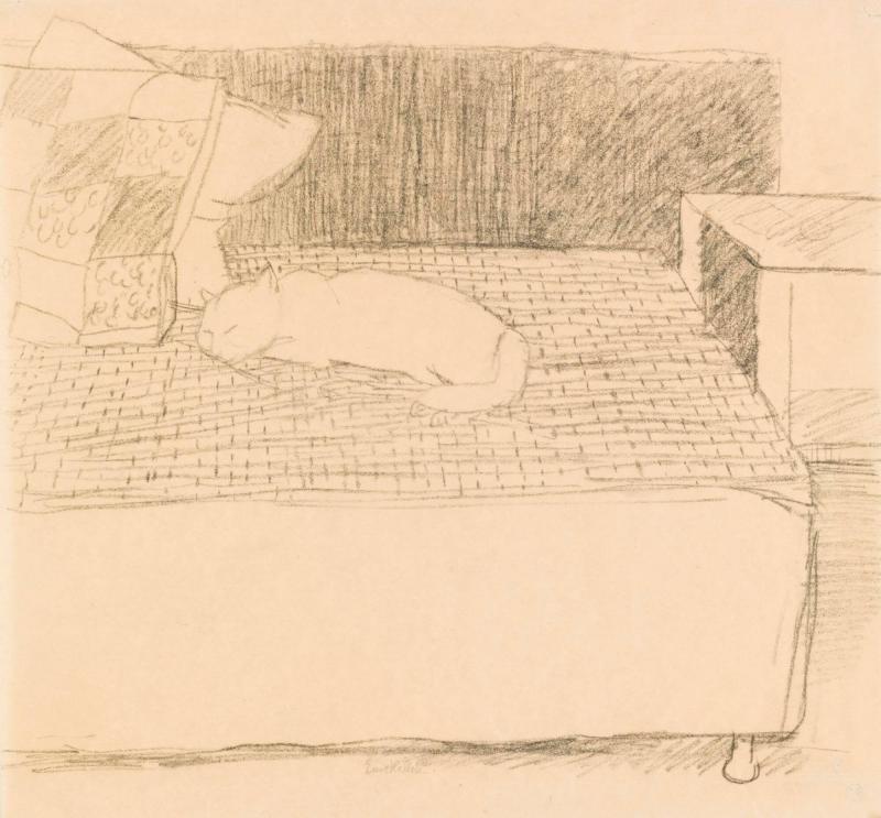 Petterssons katt