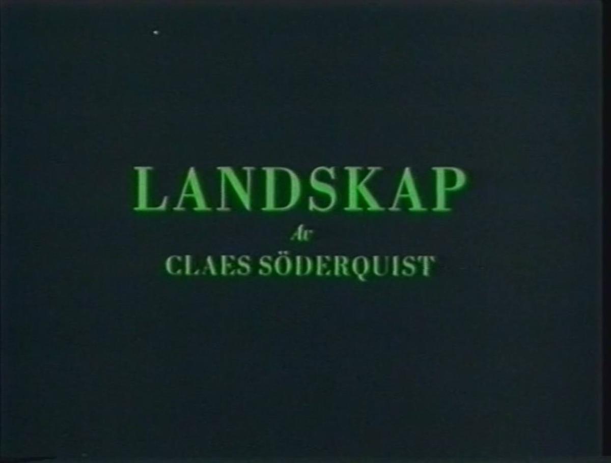 Webbtillgänglig