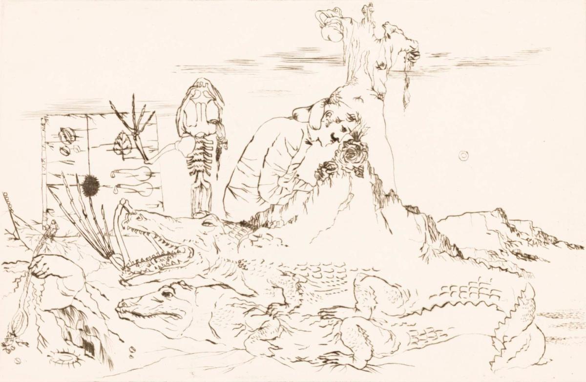 Allegatorisk gryning