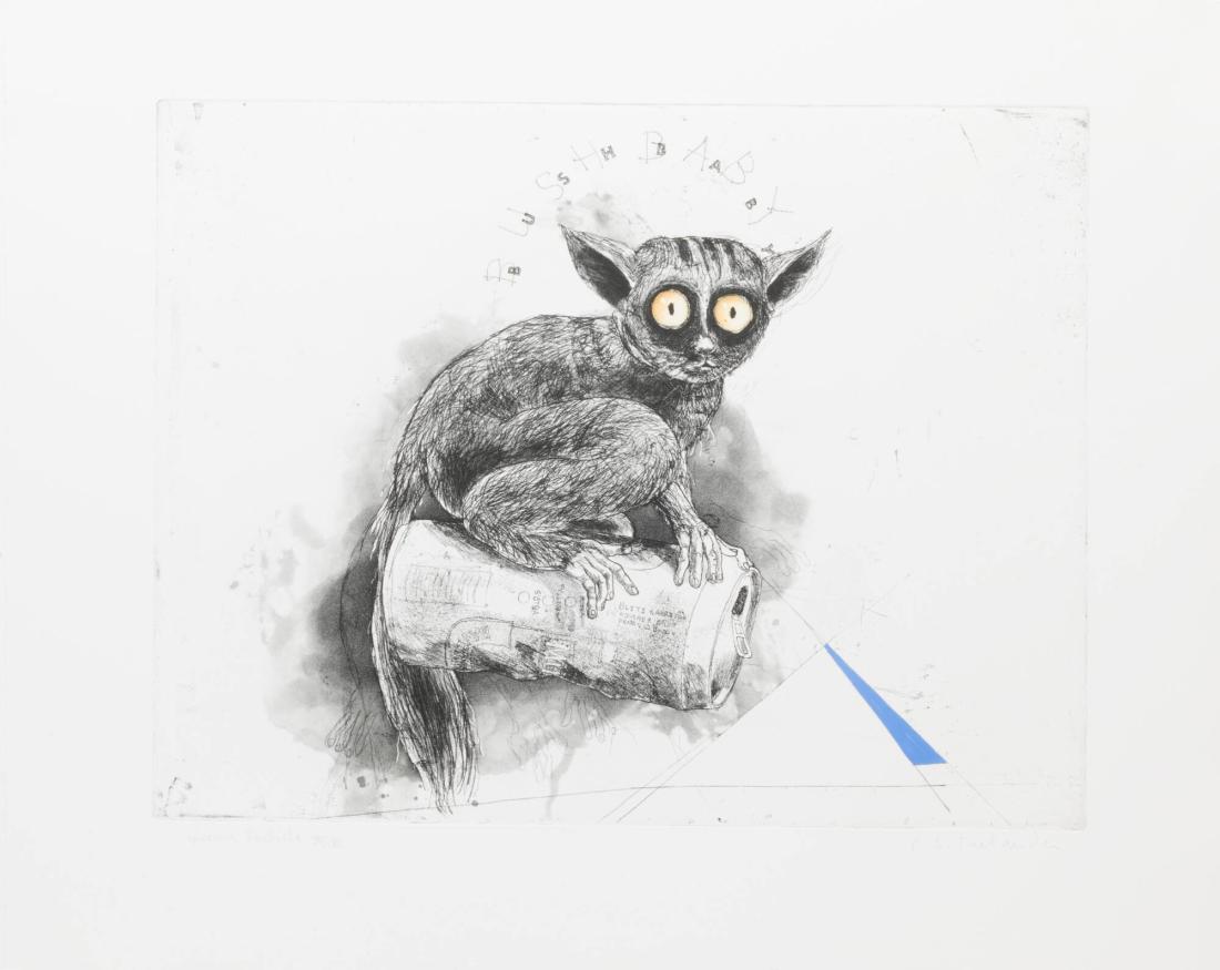 Bush Baby