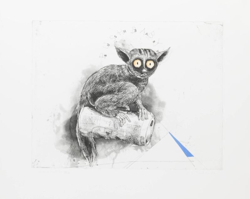 Bush Baby
