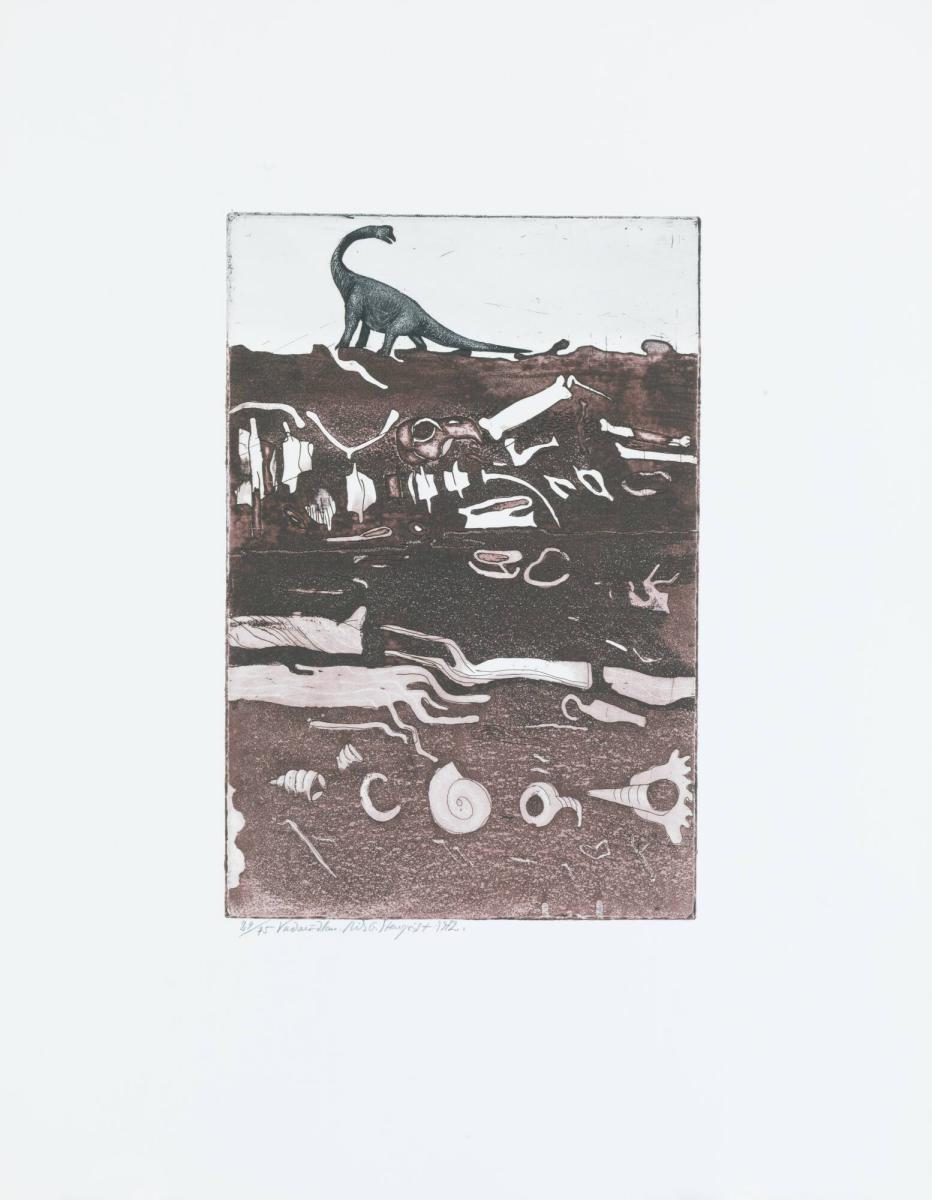 Vadarödlan. 13 ill. till Harry Martinsons Dikter om ljus och mörker