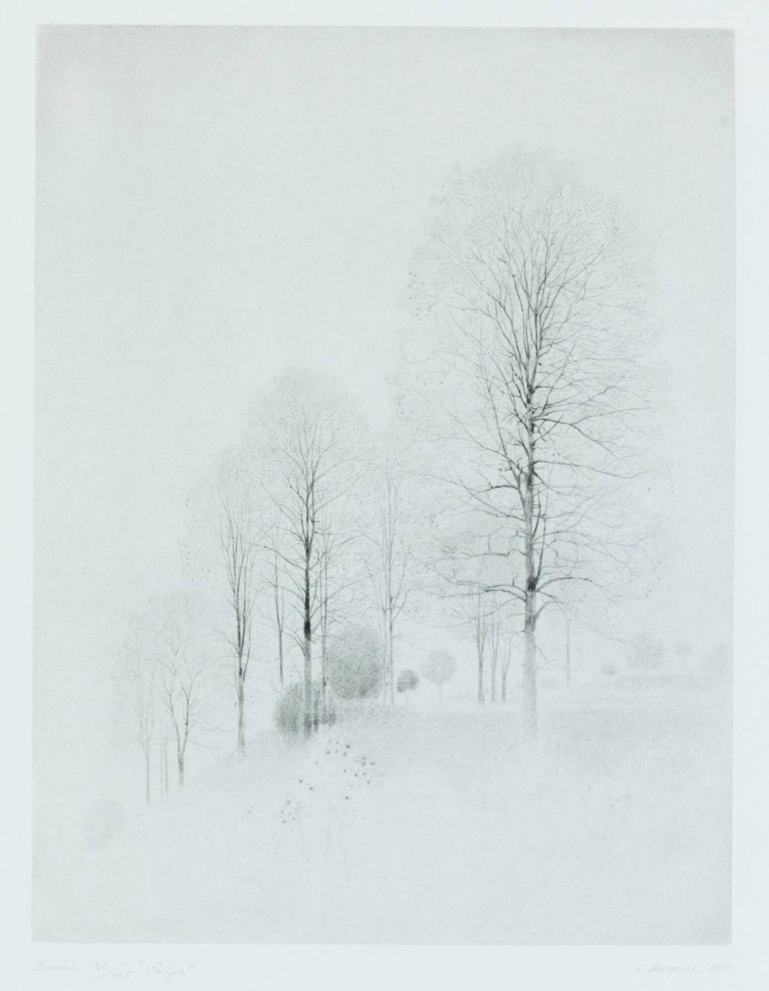 Springlight - Ing. i Grafikportfölj