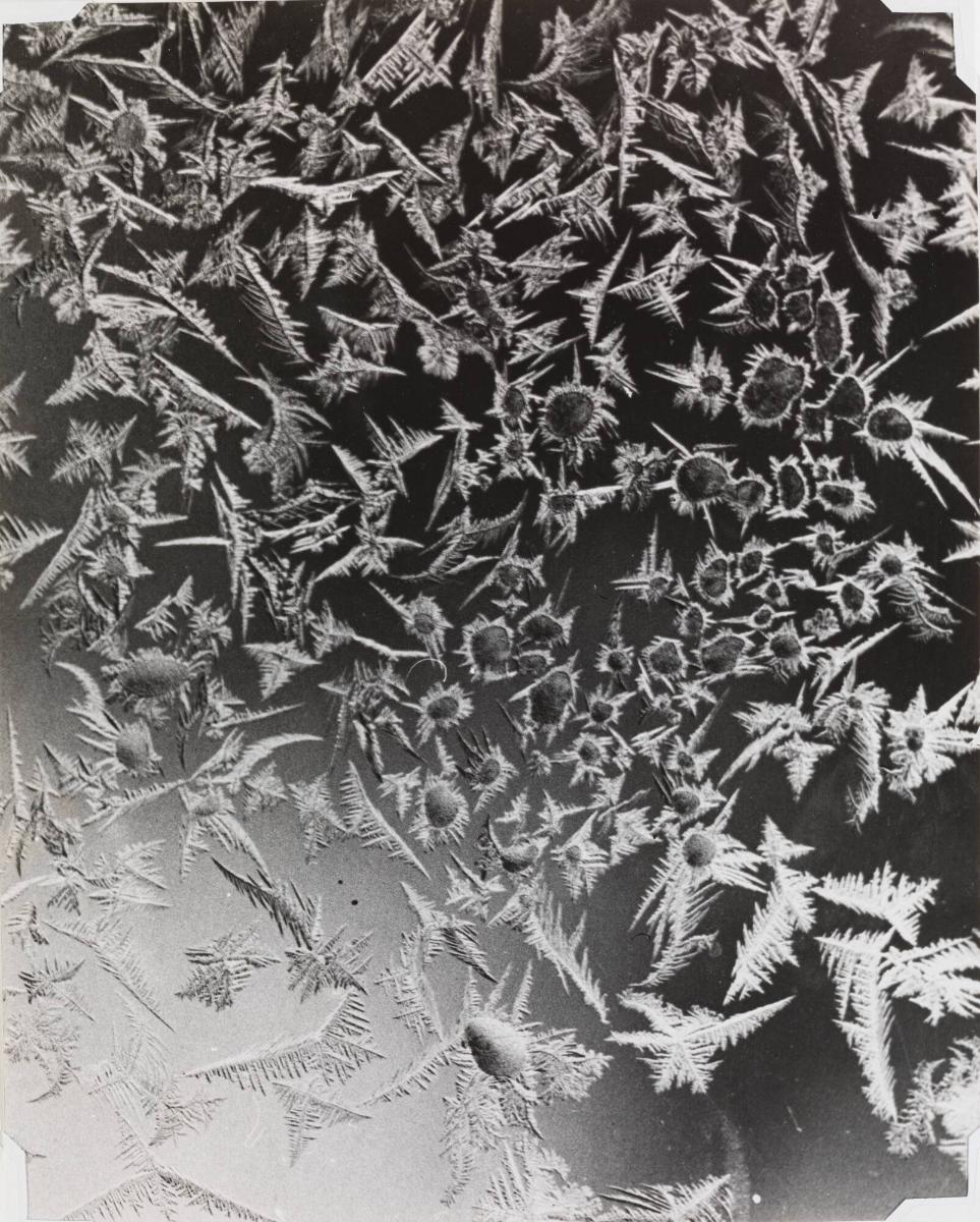 Snökristaller