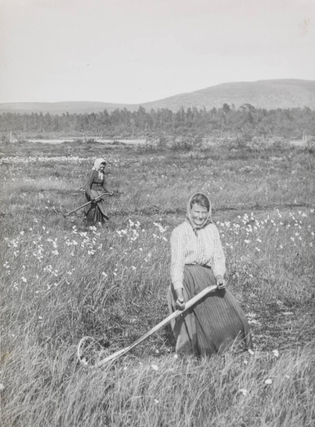 Kalluvuorna