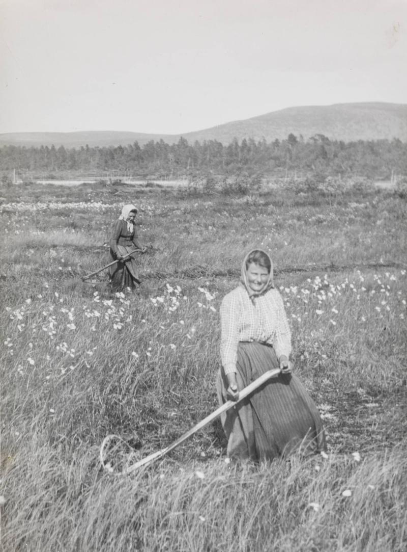 Kalluvuorna