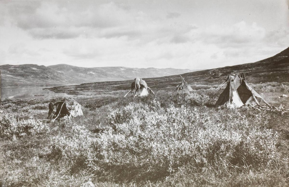 Allesvagge, Lappland