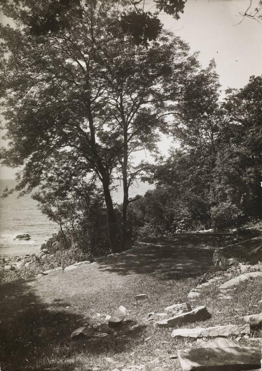 Skåne. Kustparti vid Mölle