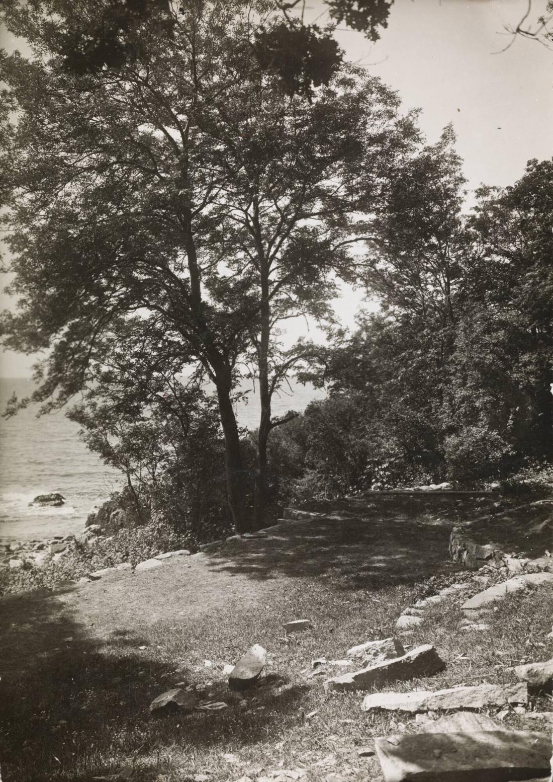 Skåne. Kustparti vid Mölle