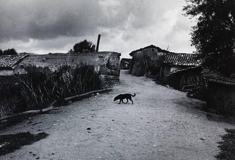 Byn Allela, Algeriet. Ur serien Berbery