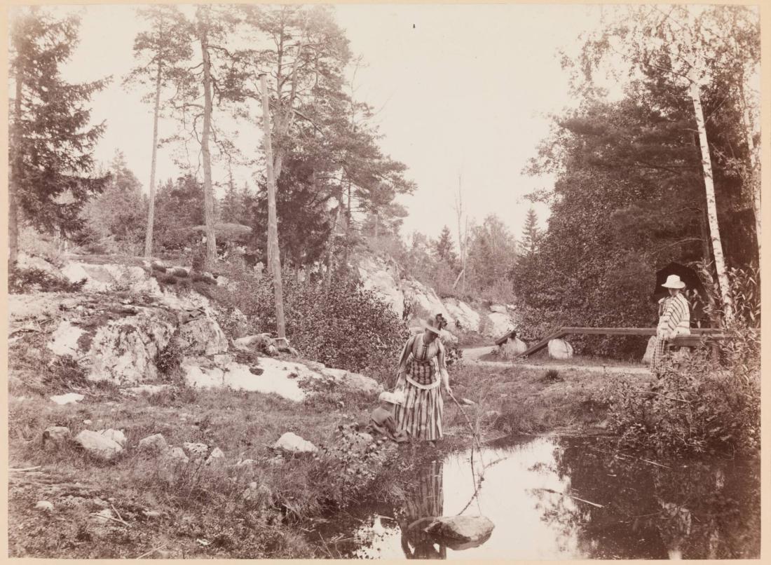 Skogslandskap