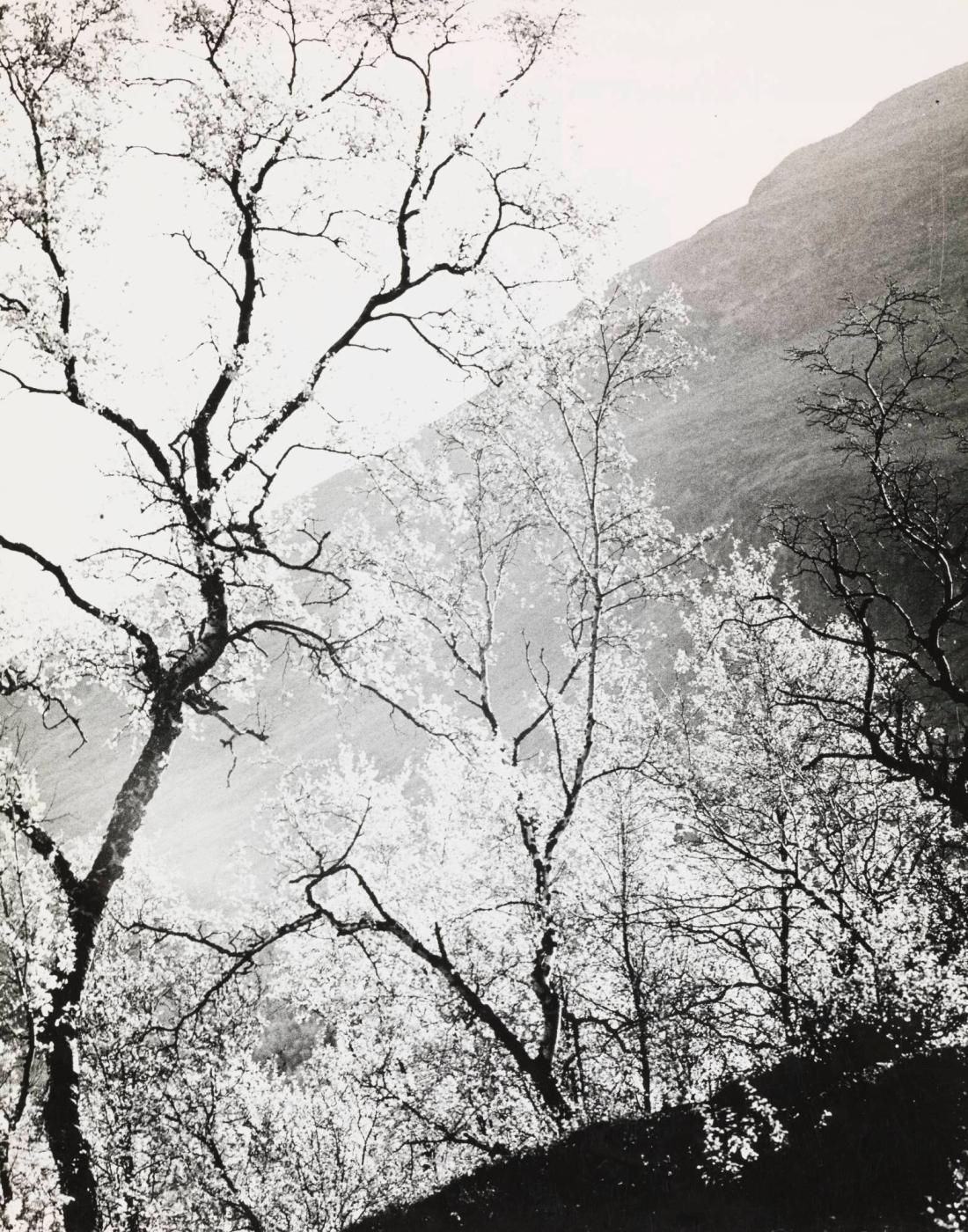 Björkliden, Lappland