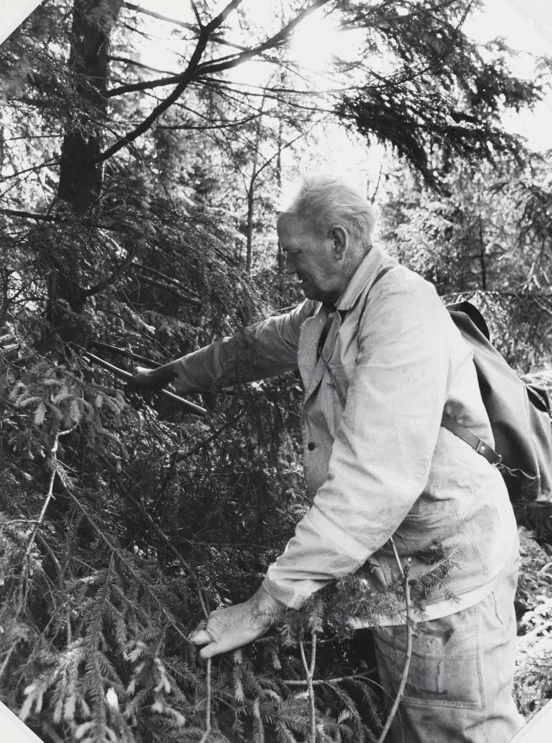 Vägarbetare Hans-Erik Hansson, 65 år, Västervåla 1972. Ur serien "Landsväg"