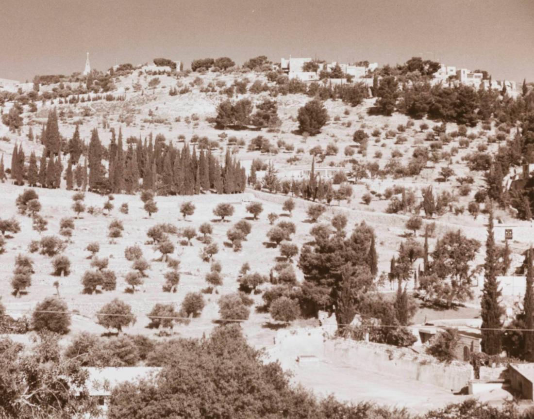 Olivträdsberget (Oljeberget), Jerusalem, 1980. Ur serien "Den långa resan"