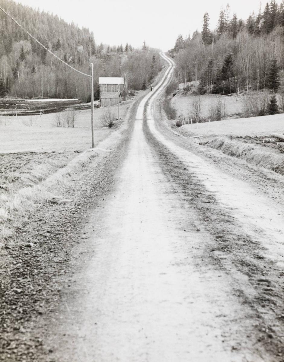 Branta backar - här är en mellan Näsänget och Fjällsvik