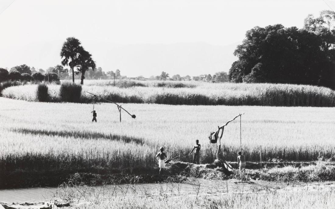Bevattning, byn Sadipur