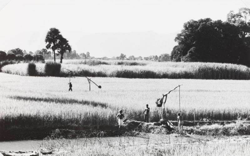 Bevattning, byn Sadipur