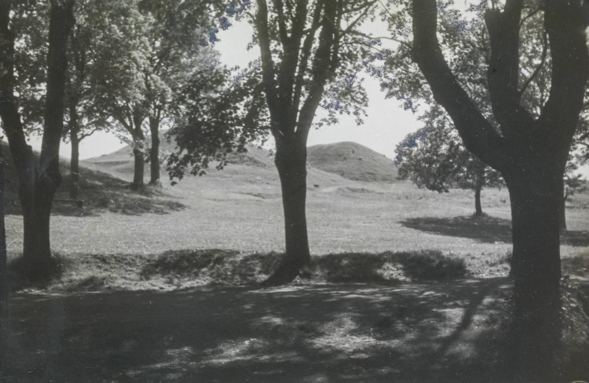 "Det nya ögat", Malmö 1939. Helmer Bäckström håller historieföredrag