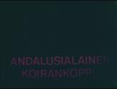 Webbtillgänglig