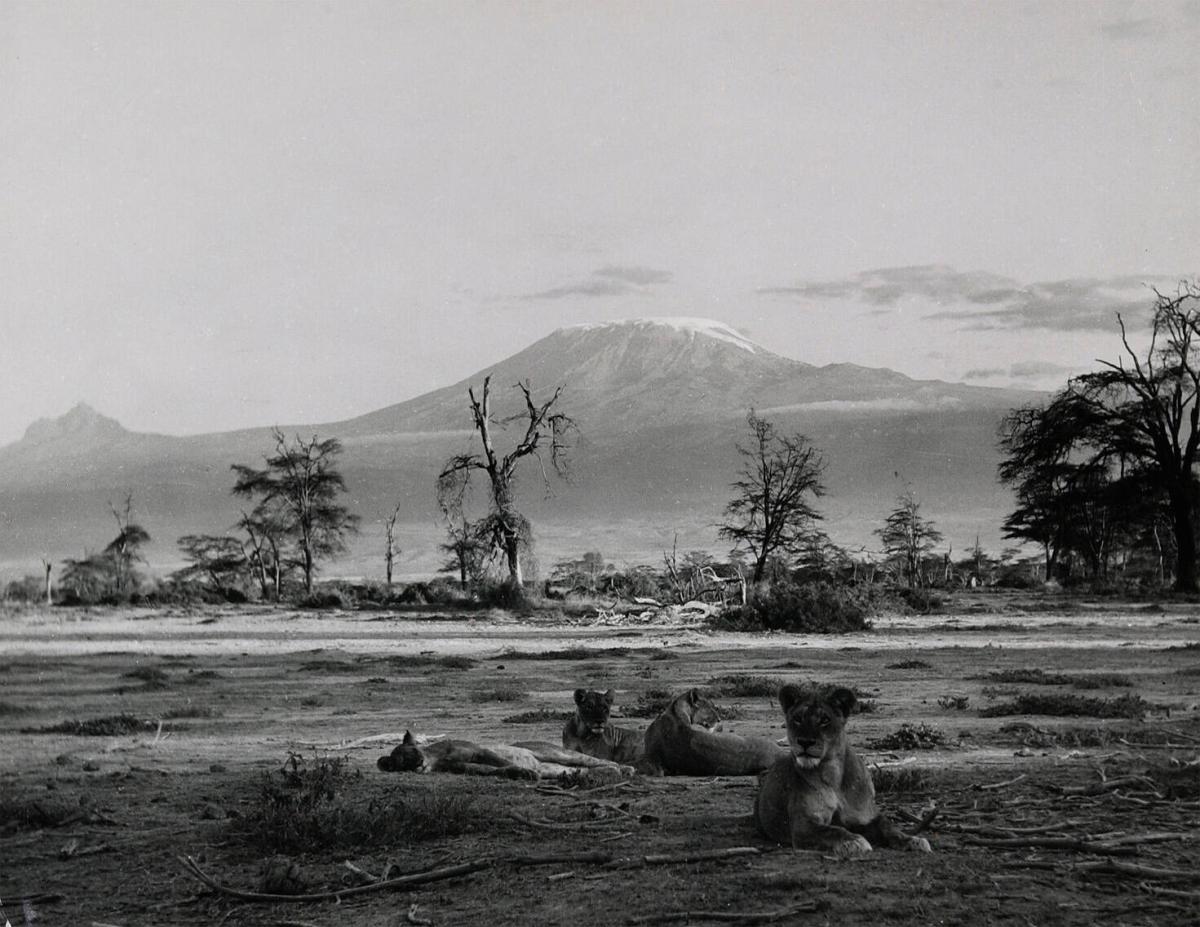 Afrika, Kilimandjaro