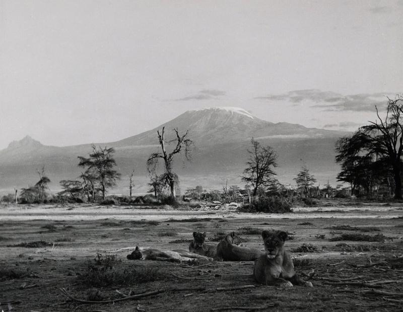 Afrika, Kilimandjaro