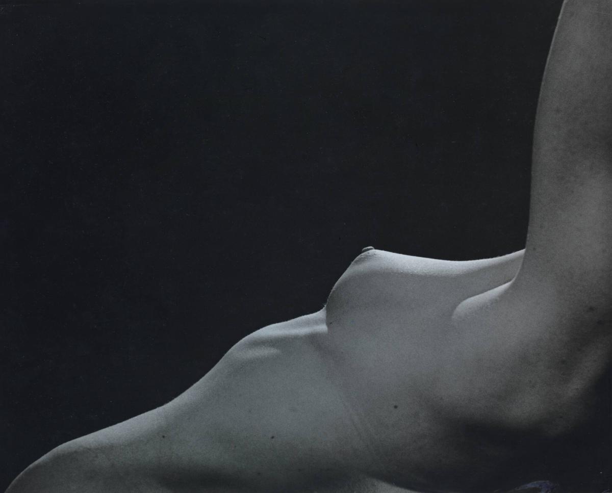 Feminine Curves