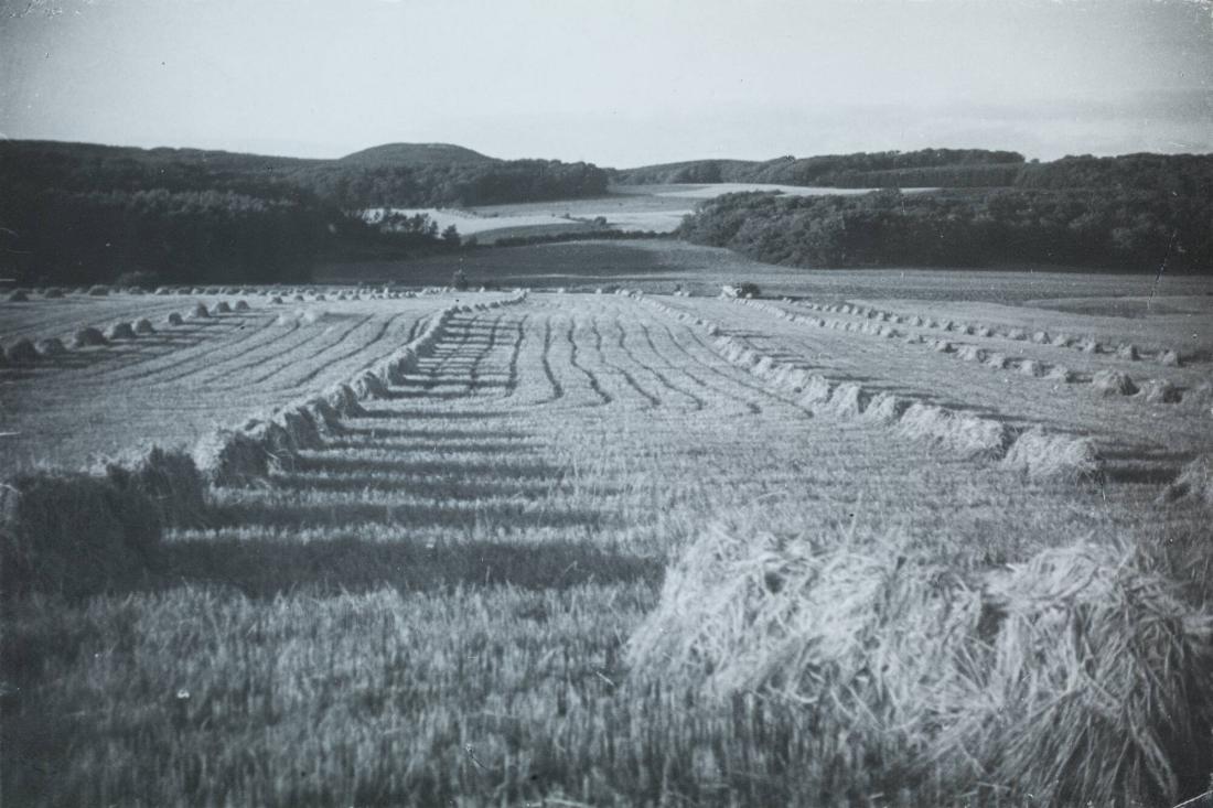 Åker vid Kullaberg, Skåne