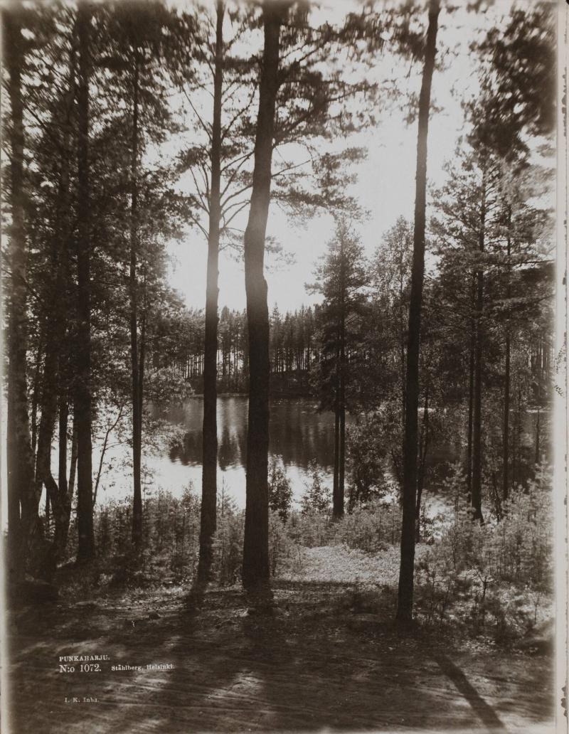 Punkaharju