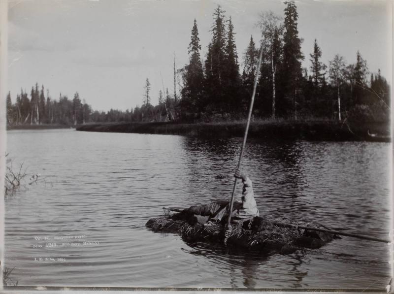 Simpukan pyytö