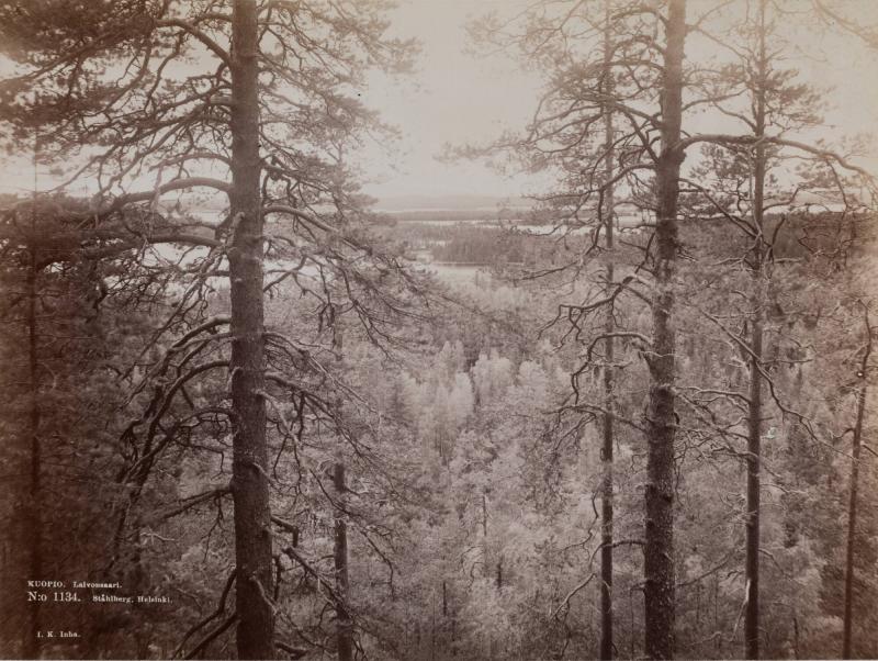 Kuopio, Laivonsaari