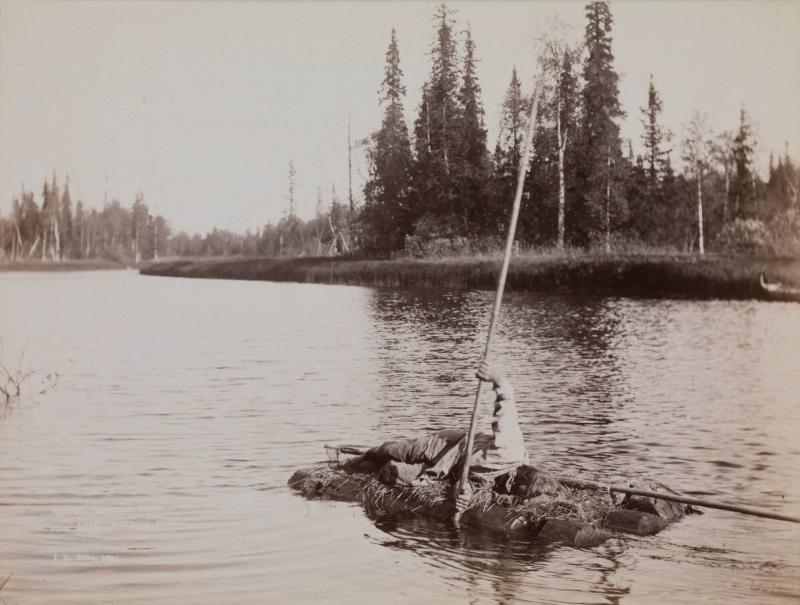 Simpukan pyytö