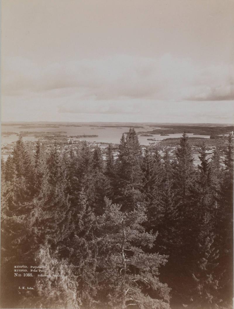 Kuopio, Puijolta