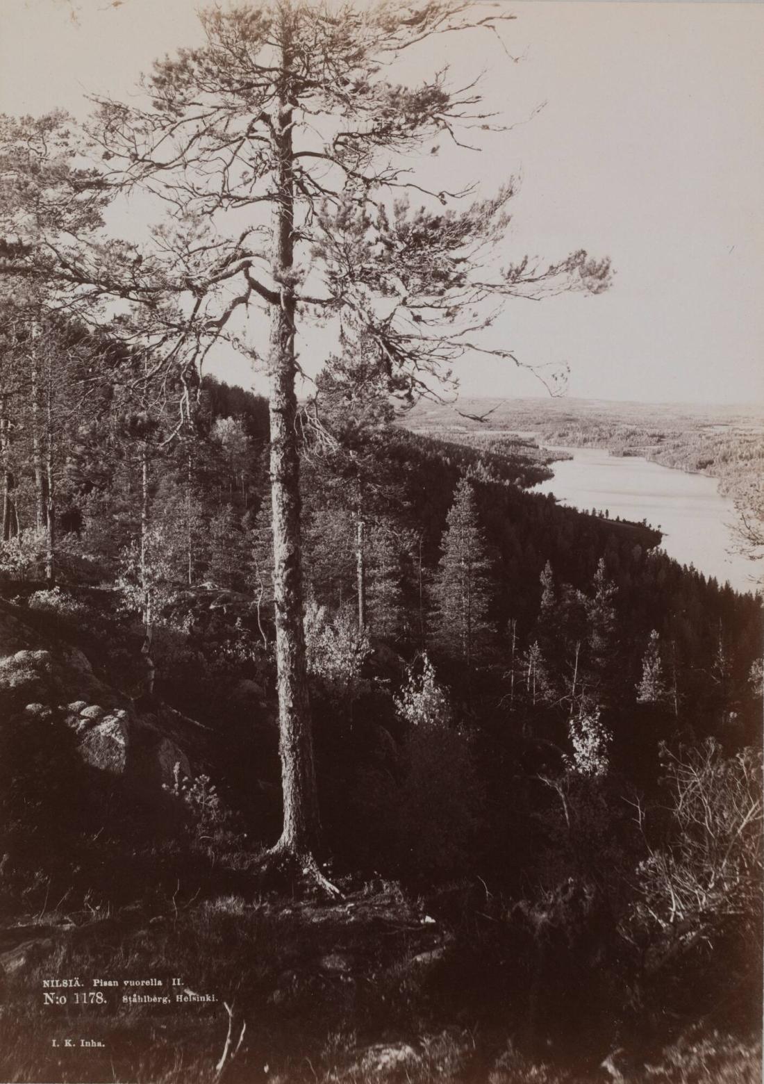 Nilsiä. Pisan vuorella