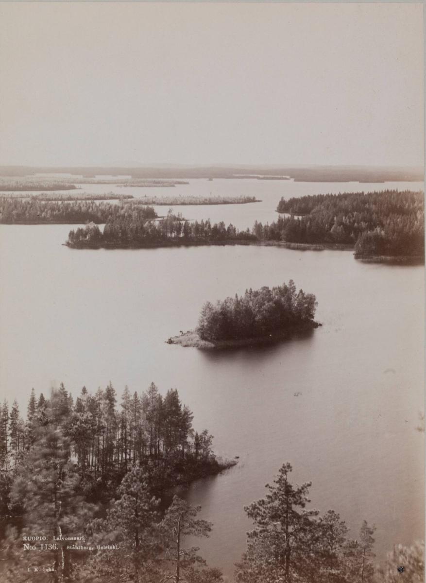 Kuopio, Laivonsaari