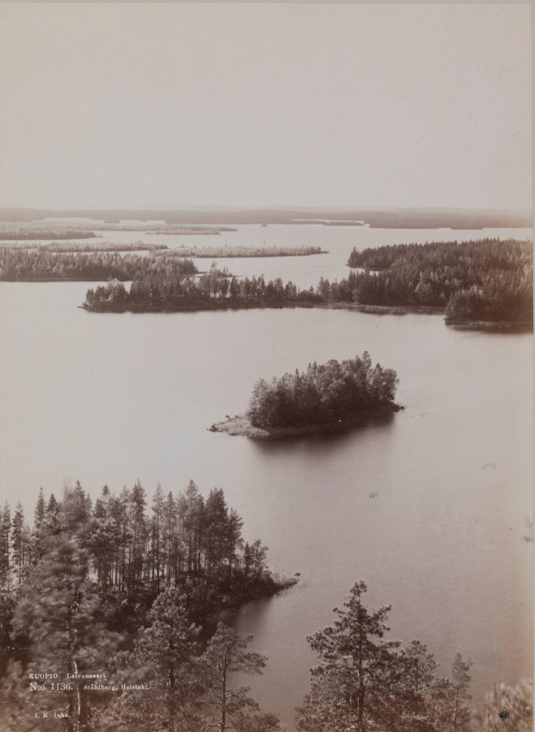 Kuopio, Laivonsaari
