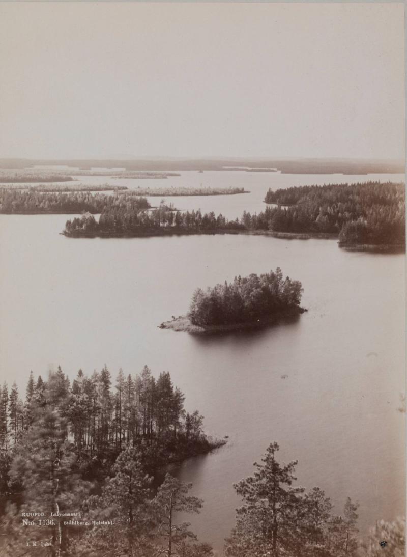 Kuopio, Laivonsaari
