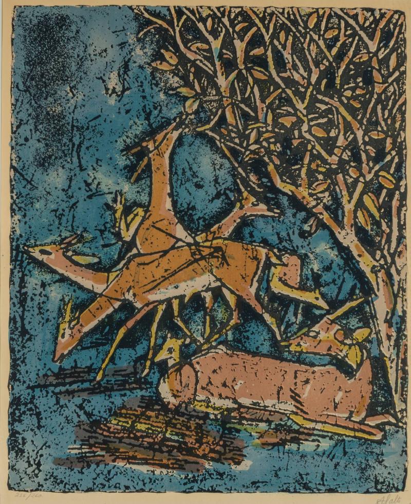 Hjortar