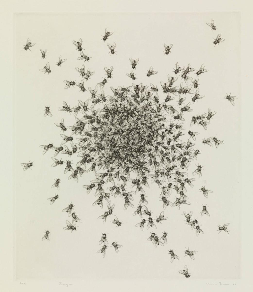 Flugor