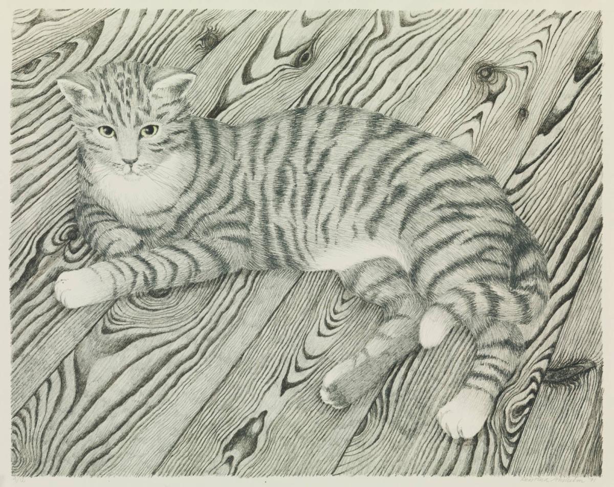 Katten