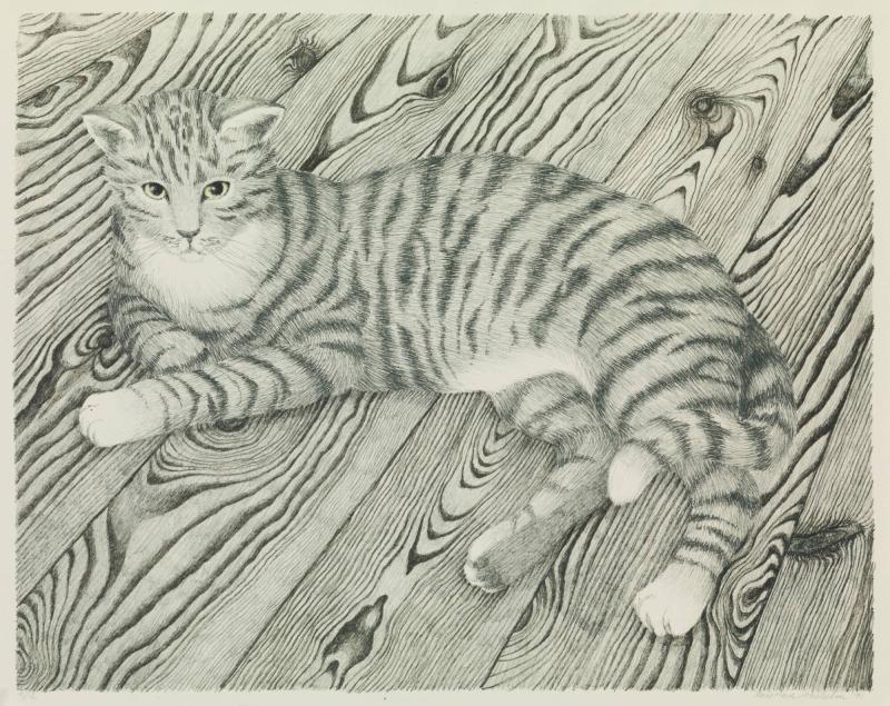 Katten
