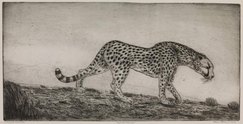 Gepard