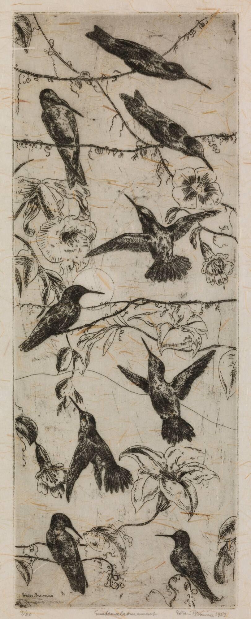 Guatemalaornament (Kolibris)