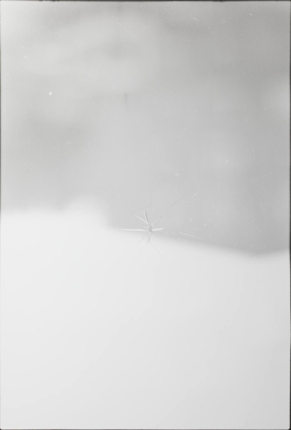 Titel saknas. Ur serien Krank