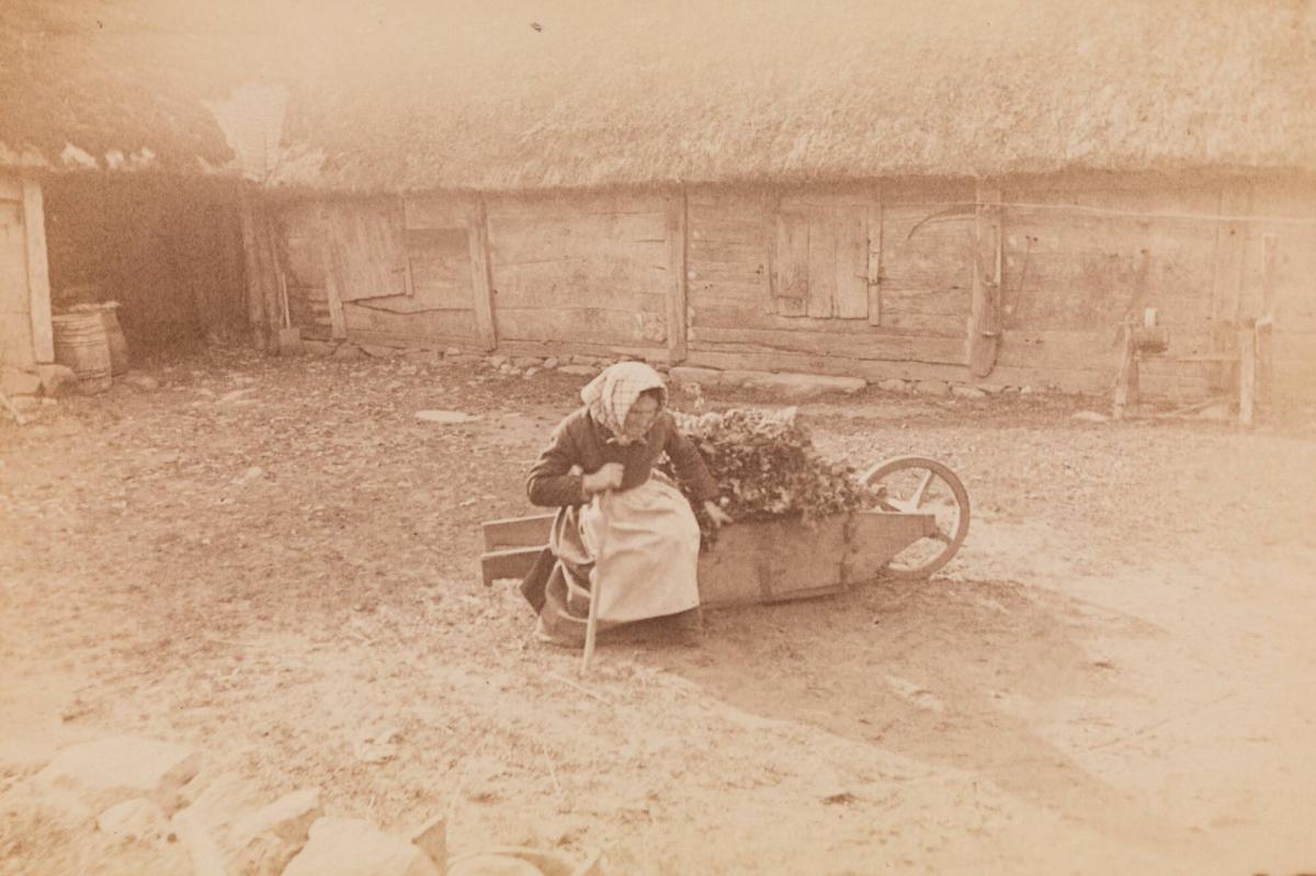 Björsgård. Asige, Halland