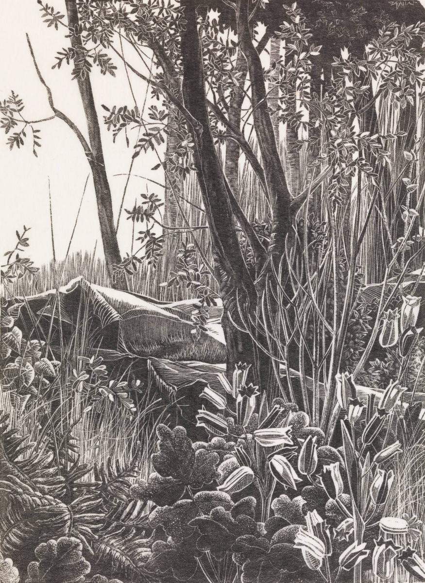 Undervegetation