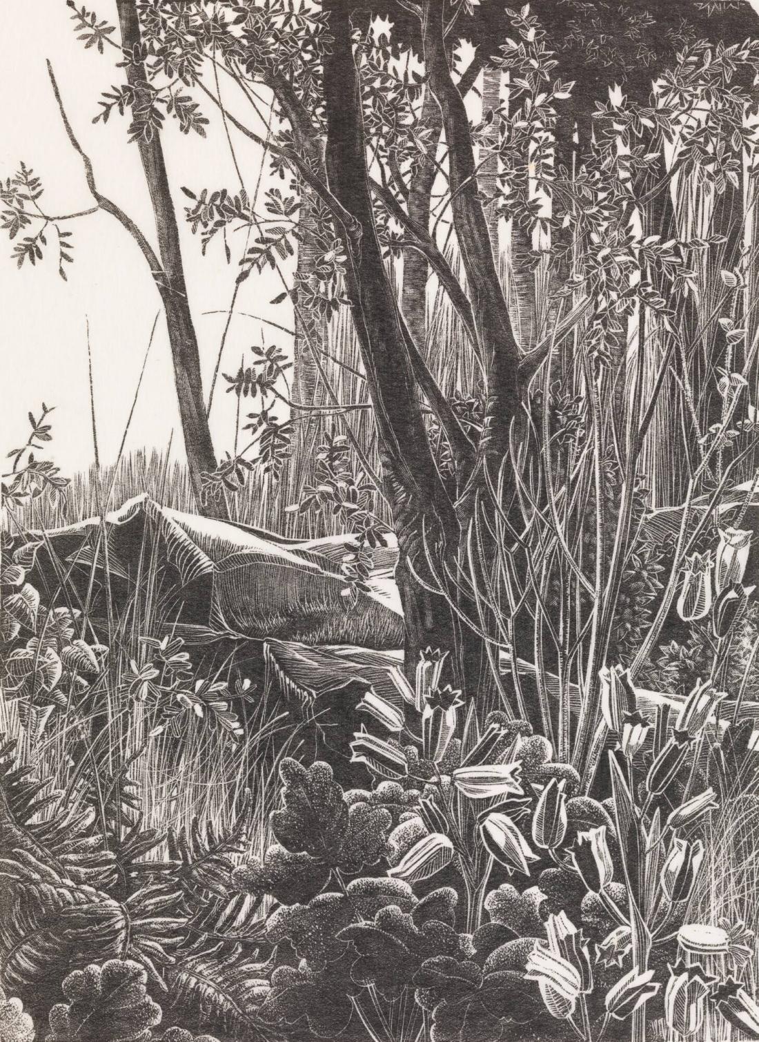 Undervegetation