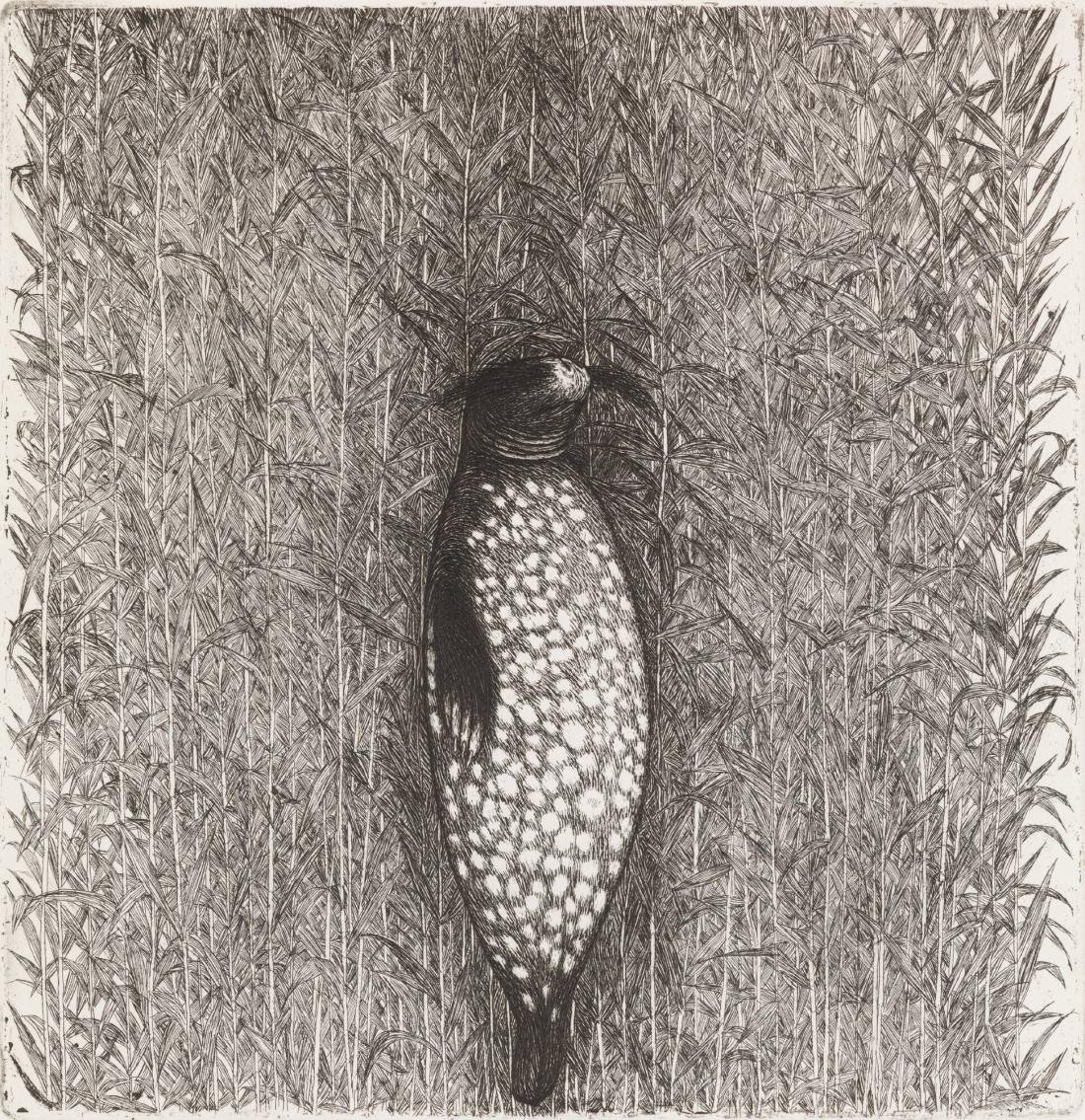 Säl. FfGK 1982