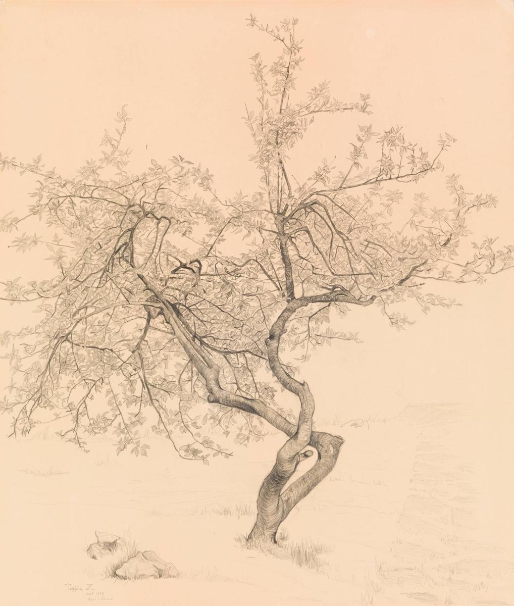 Apel, Öland